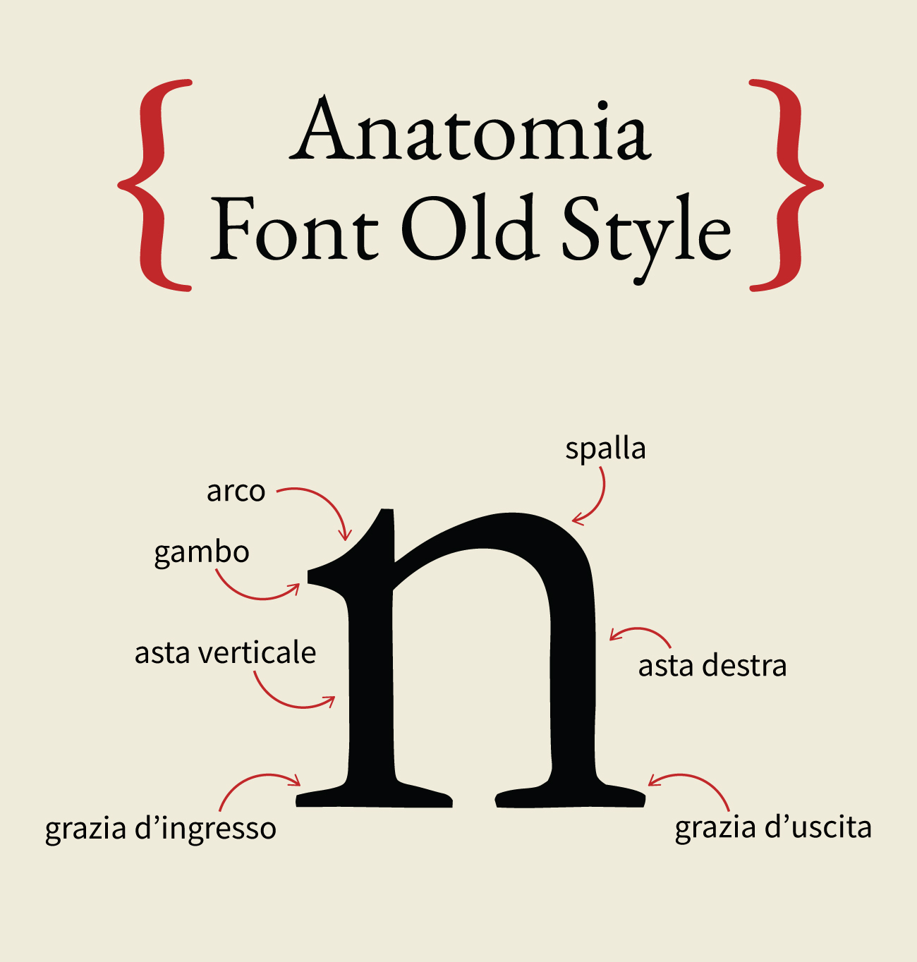 anatomia font old style